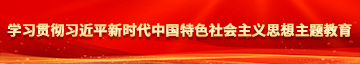 插摸嫩射在线观看学习贯彻习近平新时代中国特色社会主义思想主题教育